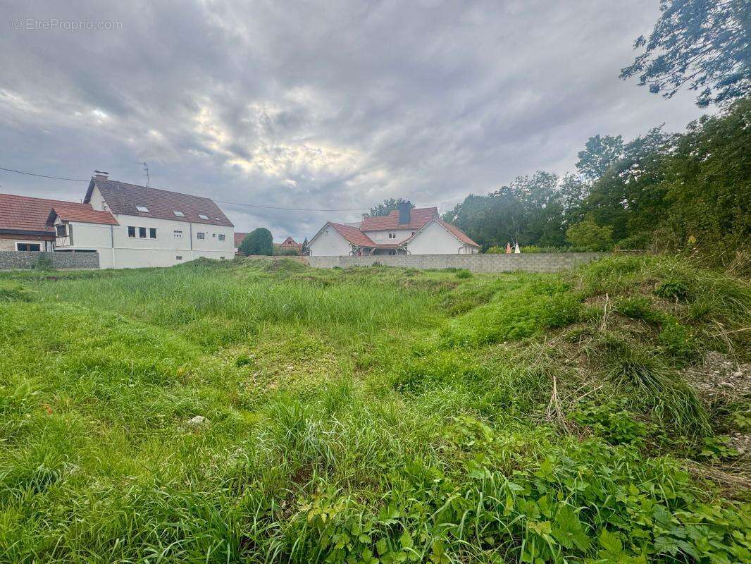 Terrain à KRAUTWILLER