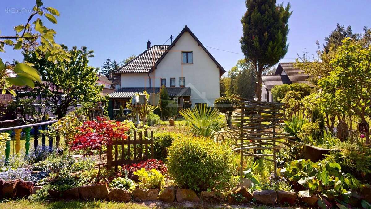 Maison à MUNCHHAUSEN