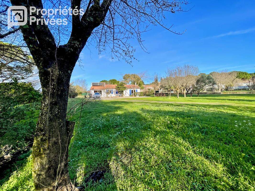 EN EXCLUSIVITÉ - Villa plain-pied 4 faces avec studio indépendant - photo 11