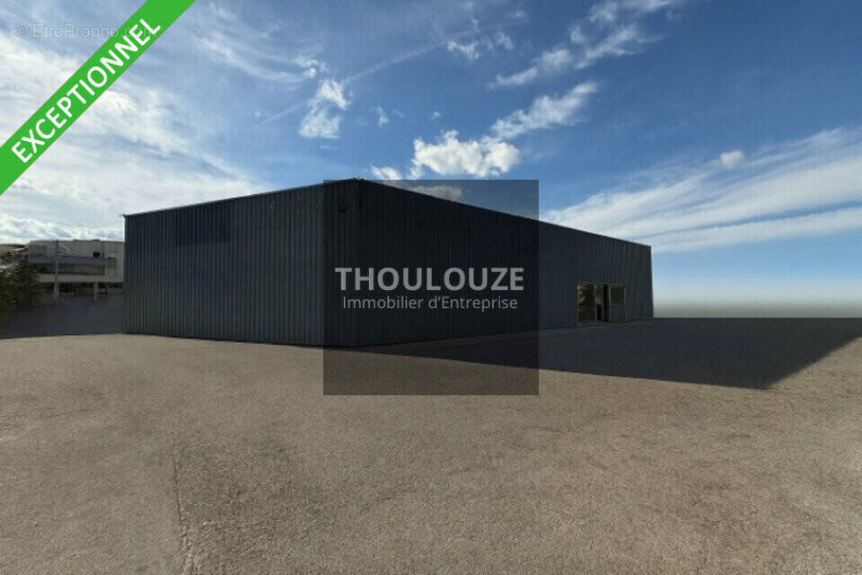 Autre à CASTELNAU-LE-LEZ