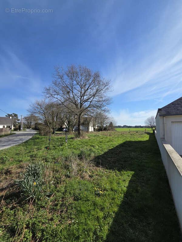 BADEN, exclusivité MOCQUARD immobilier.  Situé sur la commune de Baden, dans un environnement  agréable. - photo 2