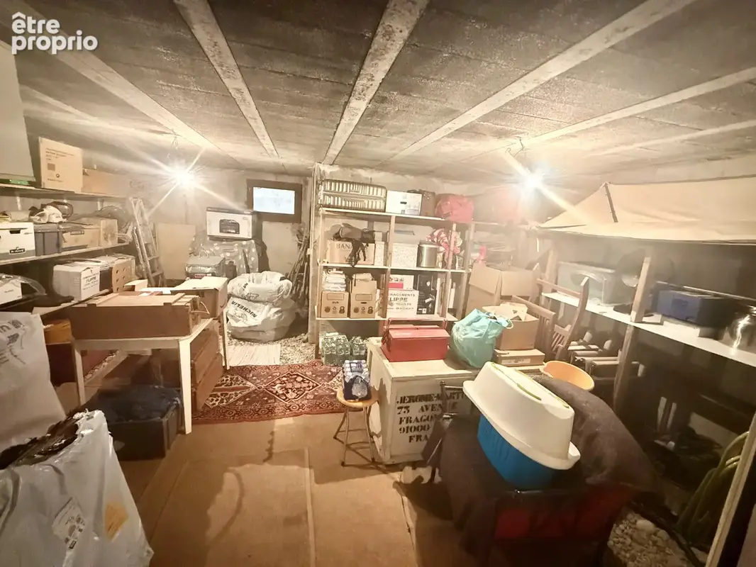 EXCLU : Maison Prévessin avec sous sol garage et jardin - photo 30
