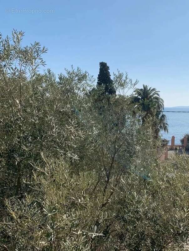 Maison à LES ISSAMBRES