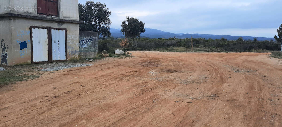 Terrain de loisir vallespir nature vue canigou  casot 10625m2 - photo 9