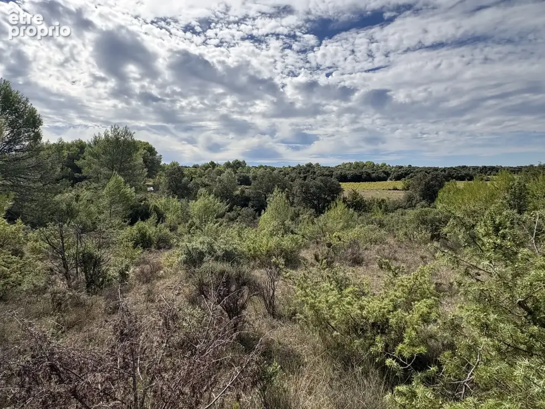 Terrain 3 660 m² à vendre à Saint-Mamert-Du-Gard (30730) - photo 5