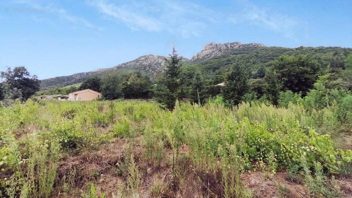 Terrain à COLOMBIERES-SUR-ORB