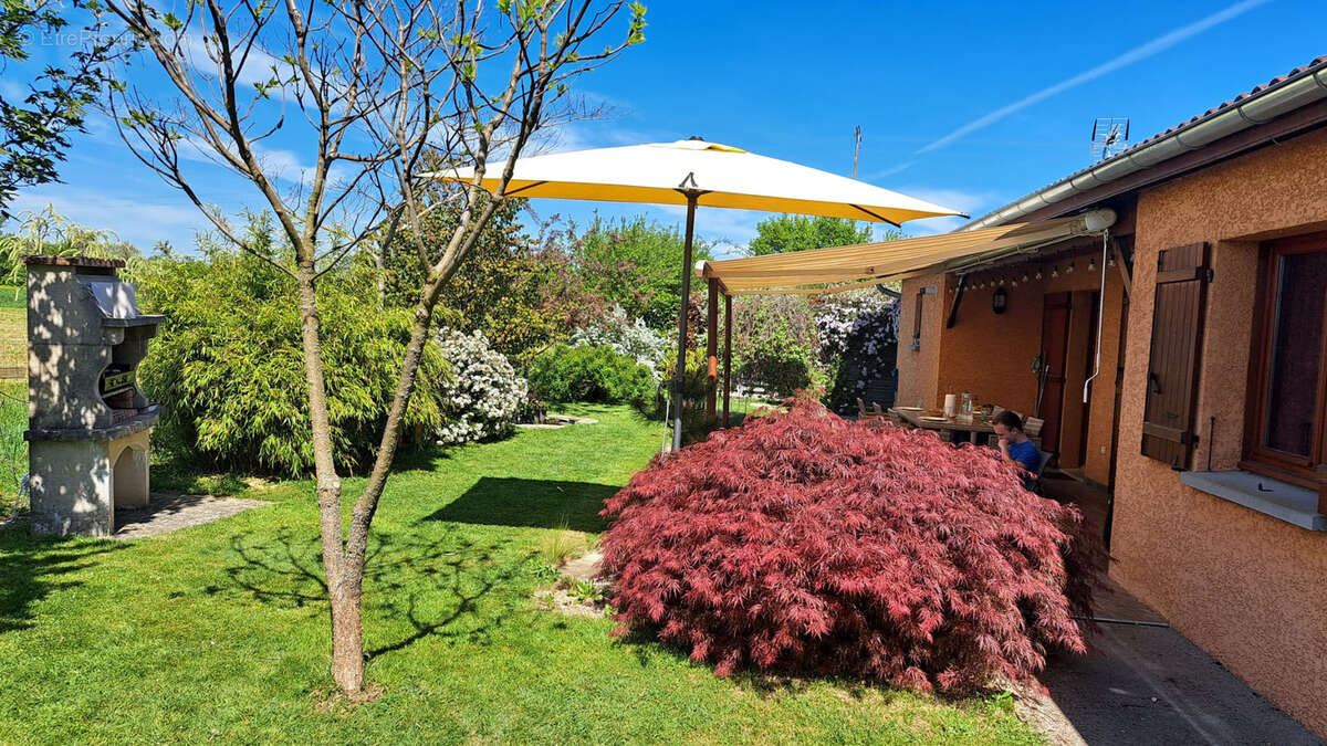 Maison à SAINT-ANDRE-SUR-VIEUX-JONC