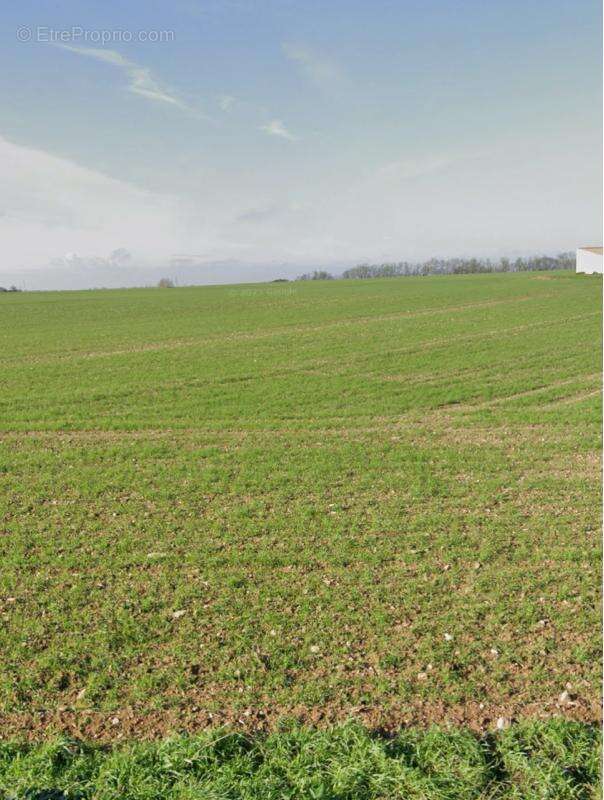 Terrain à VILLEDOUX