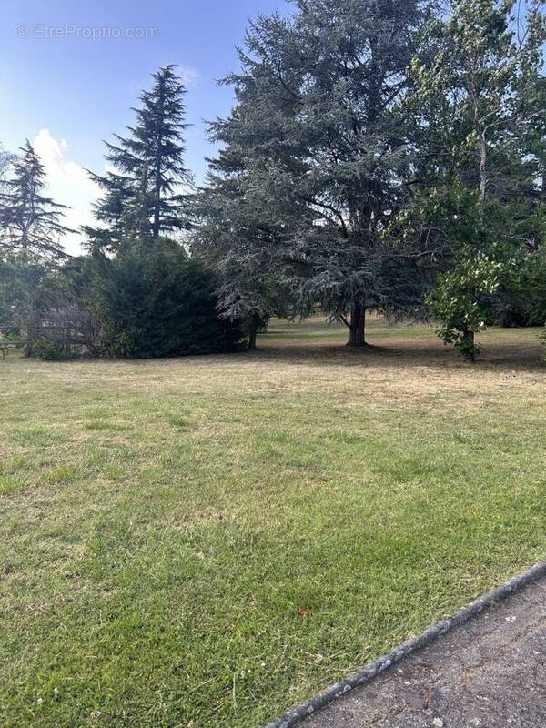 Terrain à LAUNAGUET