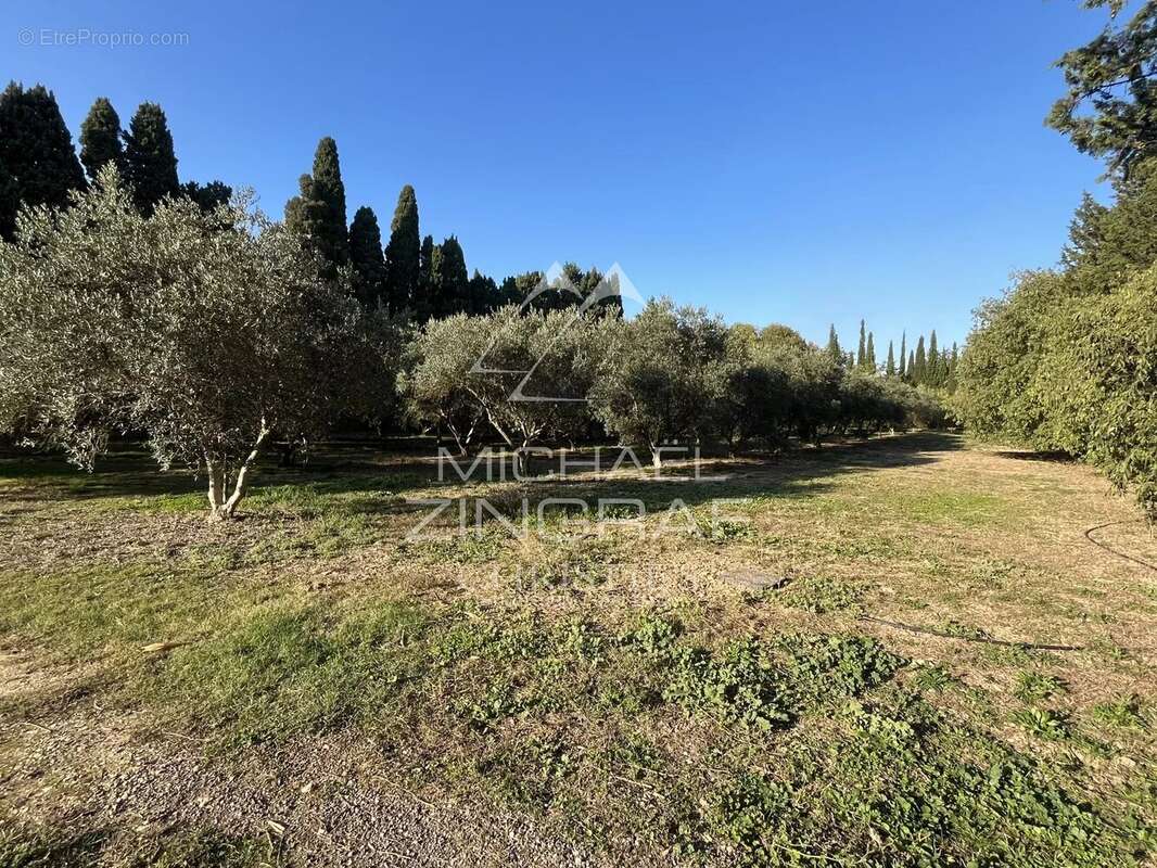 Maison à SAINT-REMY-DE-PROVENCE