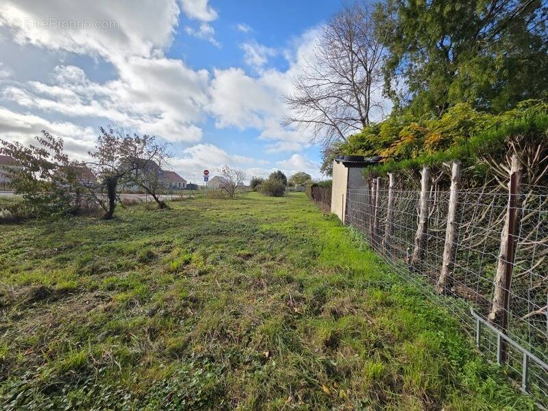 Terrain à AUNEAU