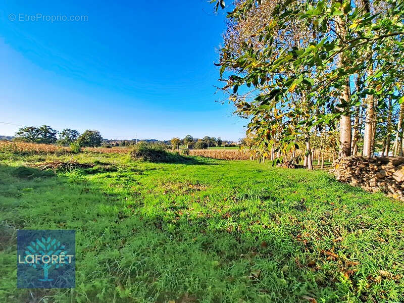 Maison à LOUVIGNE-DU-DESERT