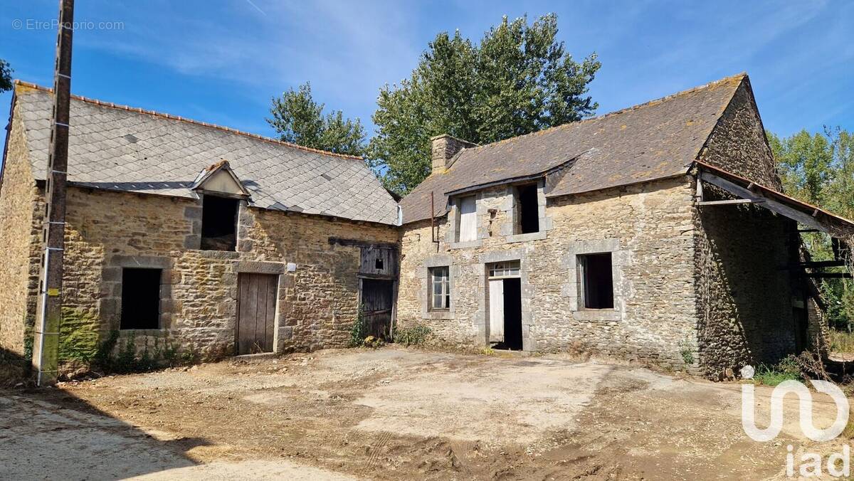 Photo 1 - Maison à COLLINEE