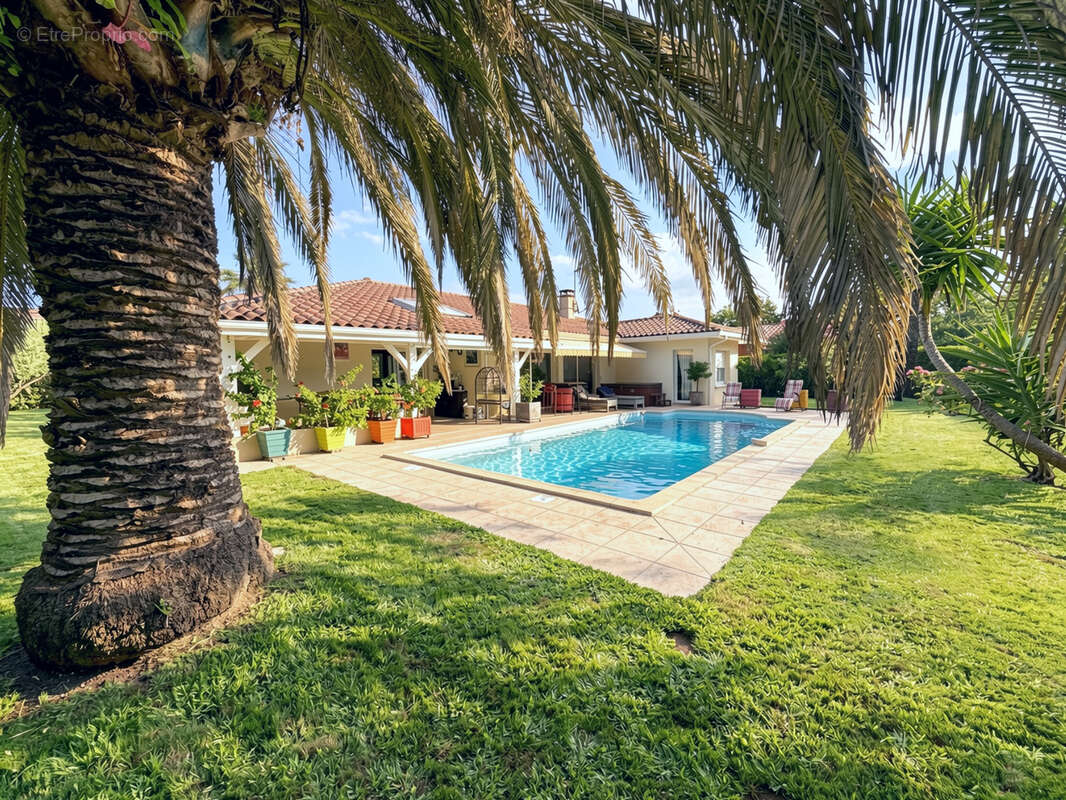 Soorts hossegor - villa 3 chambre avec piscine - photo 3