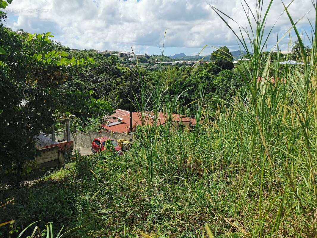 Terrain à RIVIERE-SALEE