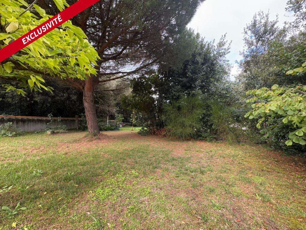 Maison à DOLUS-D&#039;OLERON