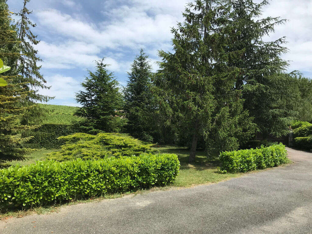 Maison à GAJA-ET-VILLEDIEU