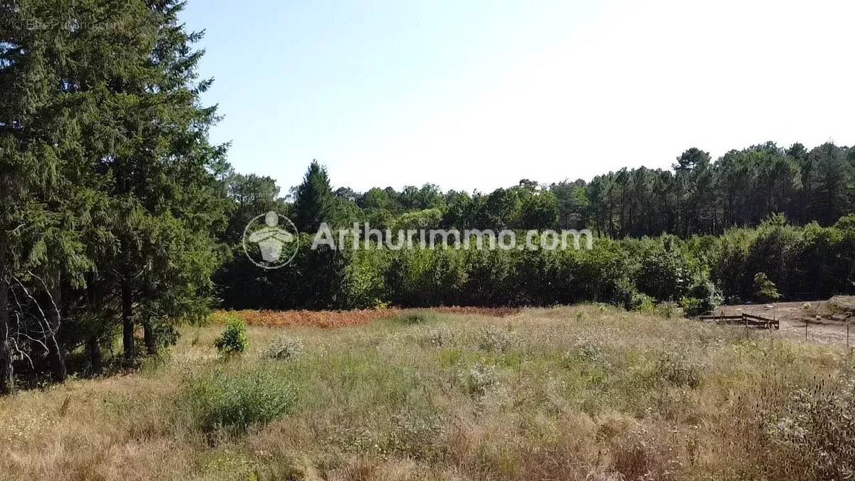 Terrain à bâtir 2921 m² - photo 1
