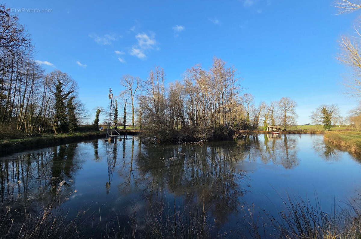 Terrain à SAINT-JUDOCE