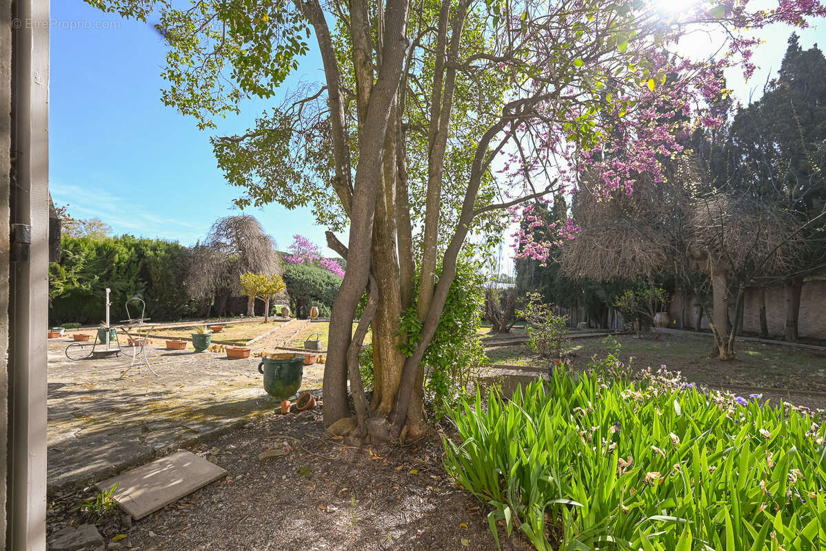 Maison à PEYRIAC-MINERVOIS
