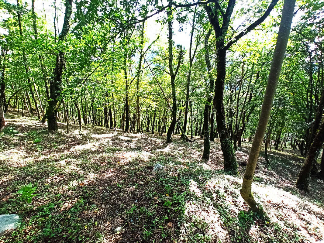 Terrain à LABROQUERE