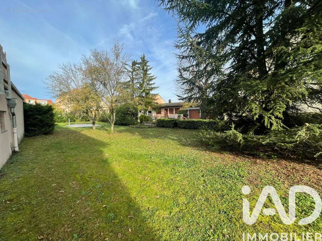 Photo 2 - Terrain à HERRLISHEIM-PRES-COLMAR