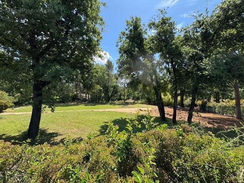 Terrain à MOUGINS