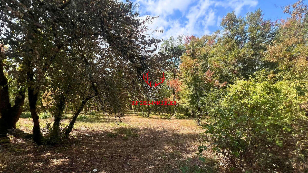 Propriété de 7ha au coeur du Quercy - photo 18