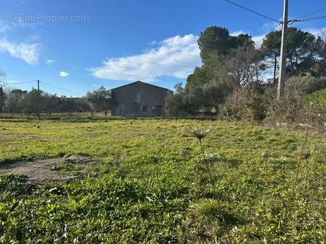 Terrain à LORGUES