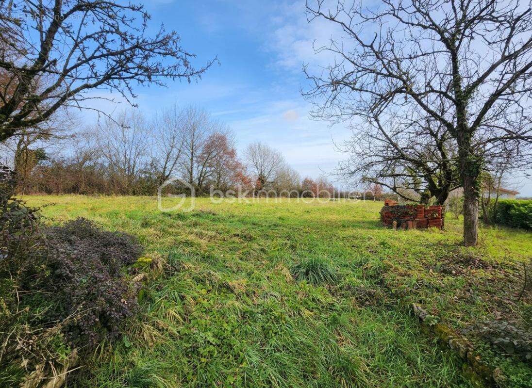 Venez découvrir ce grand terrain constructible à Sanxay (86) - photo 2