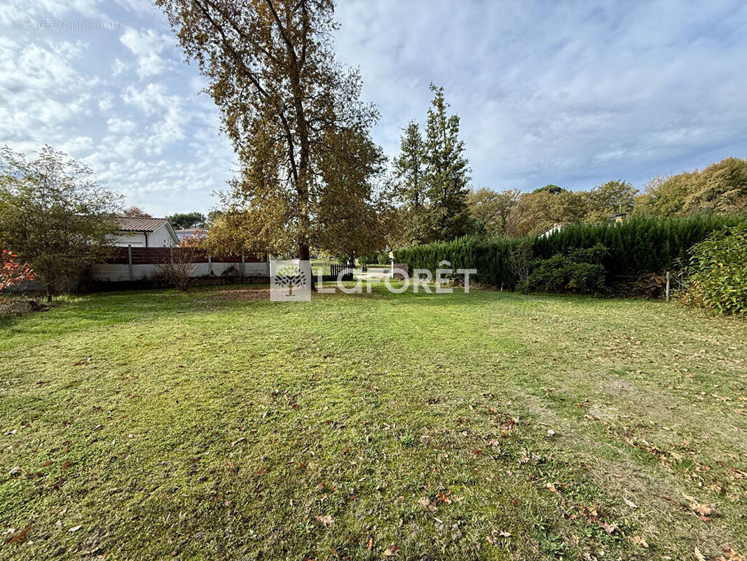 Terrain à SAINT-MICHEL-DE-RIEUFRET