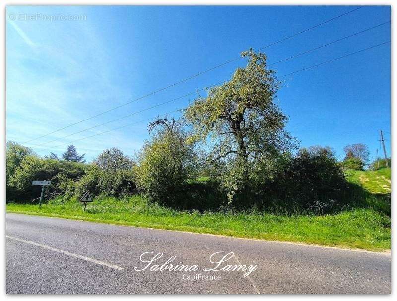 Terrain à SUIZY-LE-FRANC