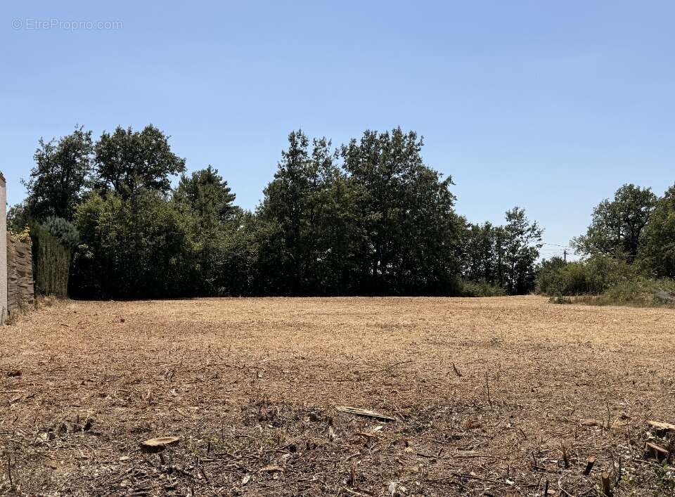 Terrain 929 m² à Vaudreuille  - photo 3