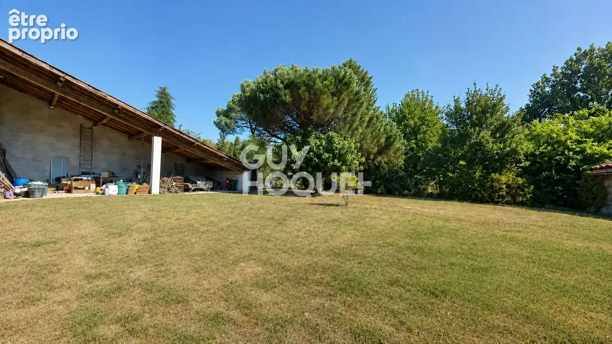 Nouveauté en exclusivité à Landiras - photo 11