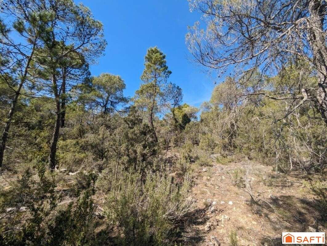 Photo 3 - Terrain à SILLANS-LA-CASCADE