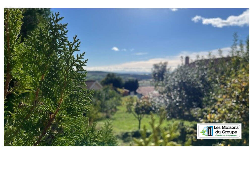 Terrain à MACLAS