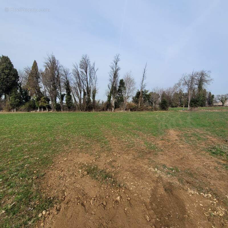 Terrain à SAINT-MARTIN-DE-CRAU