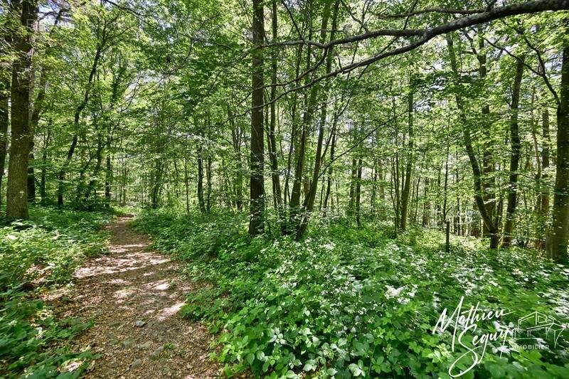 Terrain à bâtir de 2815 m² à AVEIZE (69) - photo 14