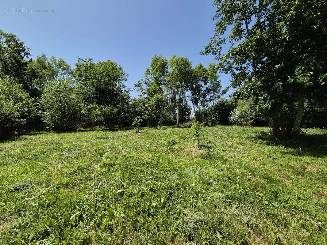 Charmante Maison Bretonne avec Jardin - photo 11