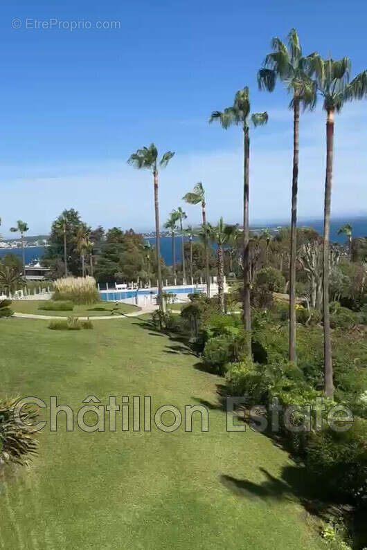 Appartement 43 m² à Cannes  - photo 8