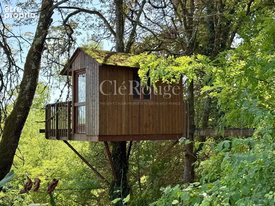 A pied d’Eymet - Propriété de charme avec gîte indépendant - photo 29