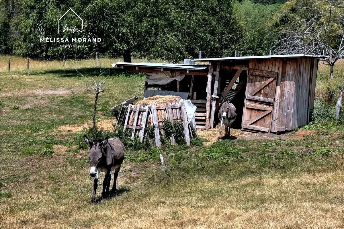 Maison d'habitation rénovée à vendre 7 pièces THUSY (74), terrain de 1ha 40a 83ca - photo 11