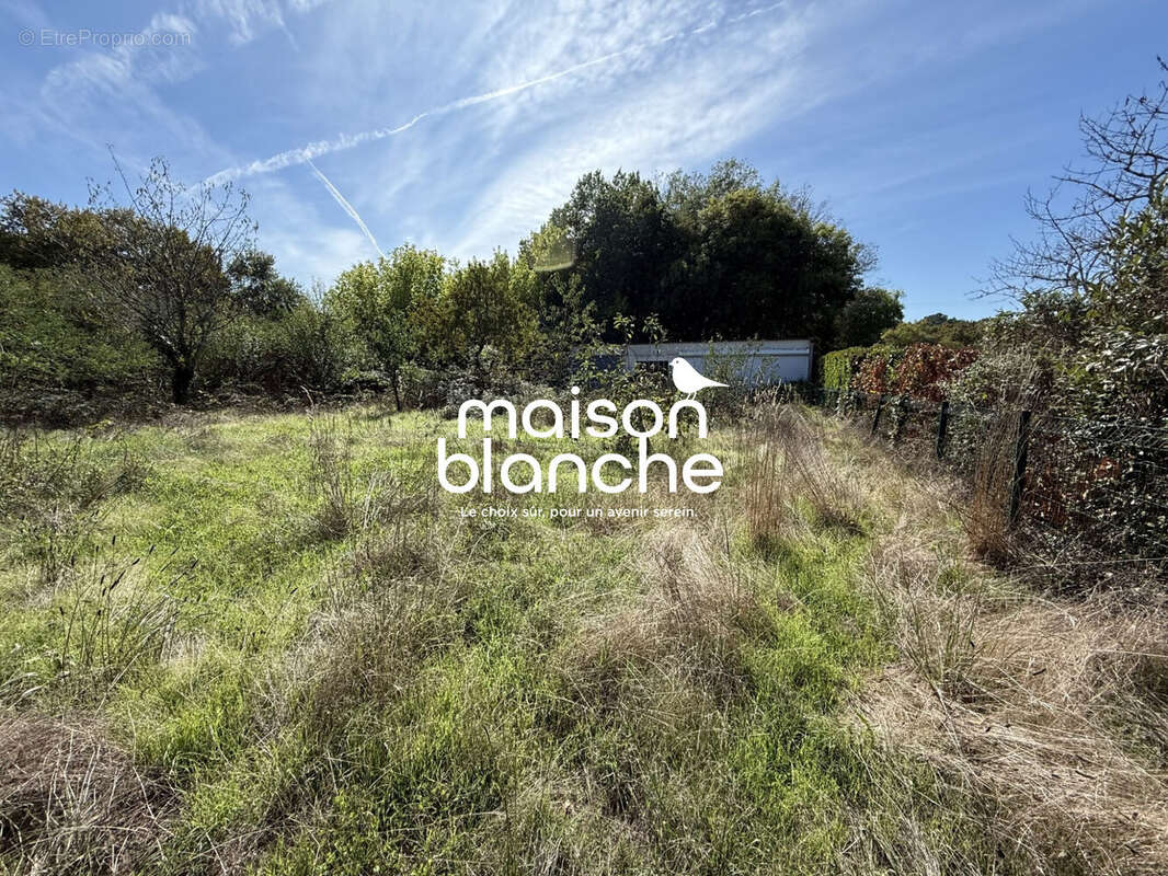 Terrain à SAINT-SEURIN-SUR-L'ISLE