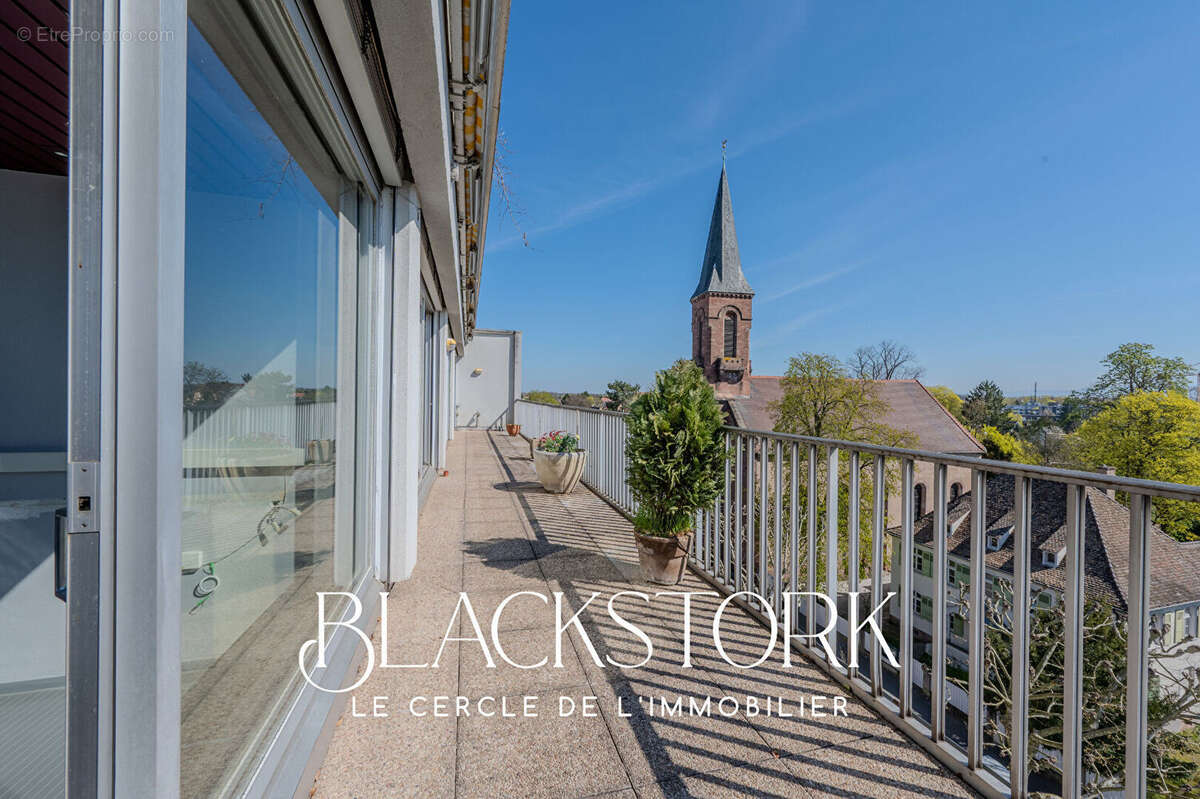 Local professionnel - strasbourg roberstau - vue degagee - photo 2