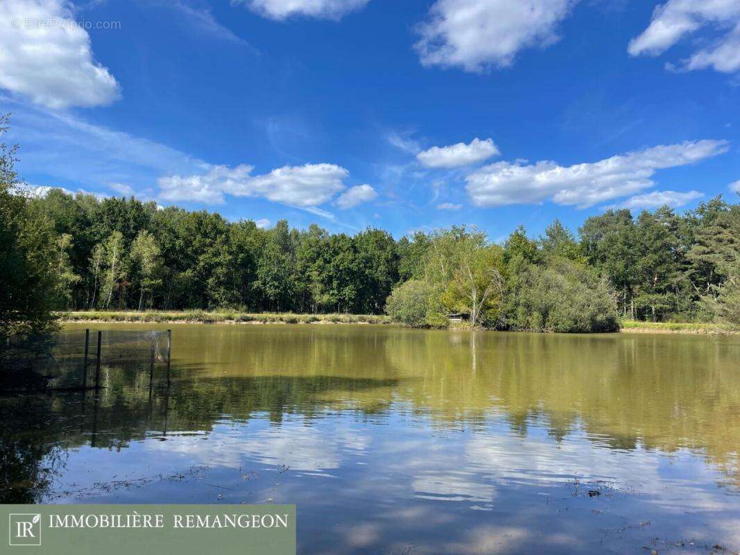 Maison à NEUVY-SUR-BARANGEON