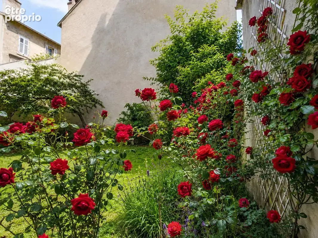 Appartement de caractère rénové ,134 m², 3 chambres, 2 caves, 1 grenier, 1 jardin en rez-de- chaussée - photo 2