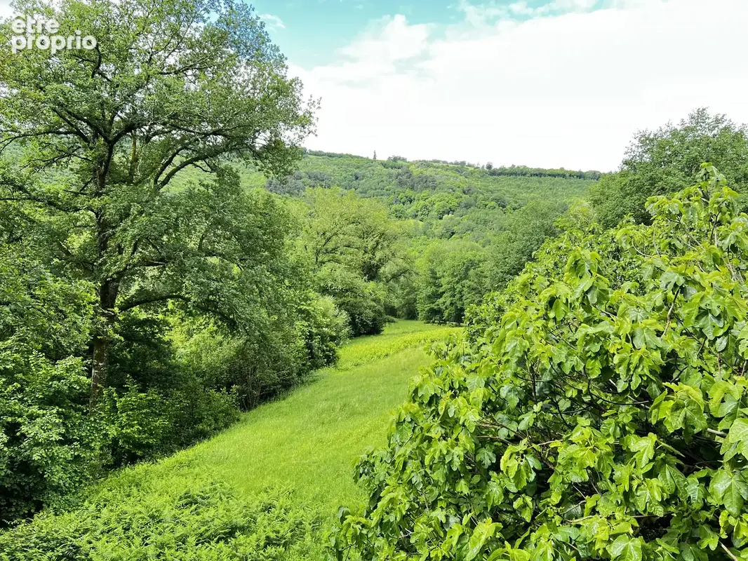 Environs de Figeac: Ensemble de deux maisons en pierre et dépendances avec 20 hectares - photo 2