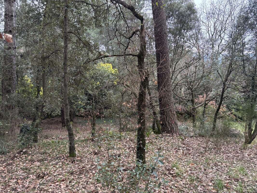 Terrain 1292 m² à Ucel  - photo 3