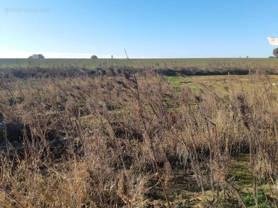 Terrain à GAGNAC-SUR-GARONNE