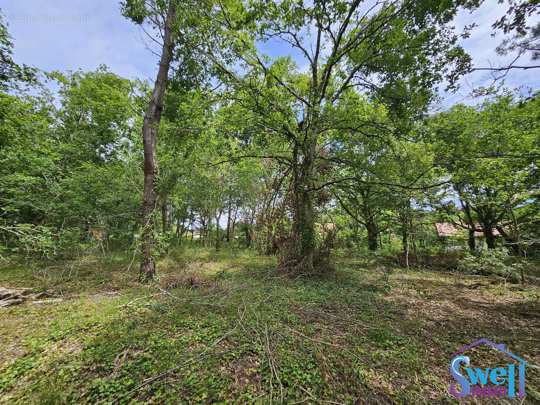 Terrain 1600 m² à Mezos  - photo 2